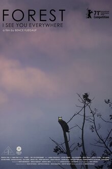 Forest – I See You Everywhere
