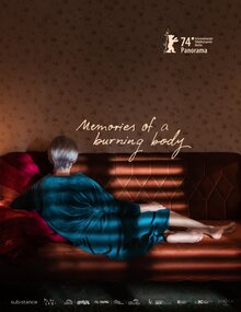 Poster of Memories of a Burning Body