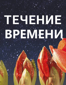Poster of Течение времени