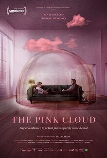 Poster of The Pink Cloud