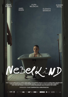 Nebelkind: The End of Silence