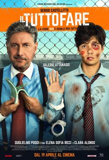 Poster of The Handyman