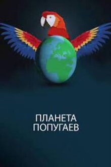 Poster of Planet Parrot