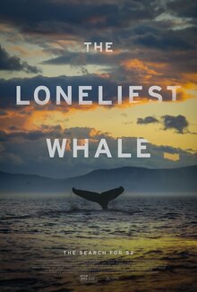 52: The Search for the Loneliest Whale in the World