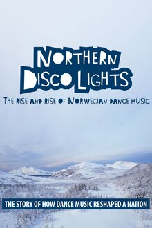 Poster of Northern Disco Lights