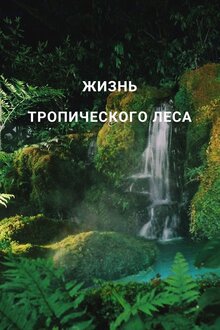 Poster of Жизнь тропического леса