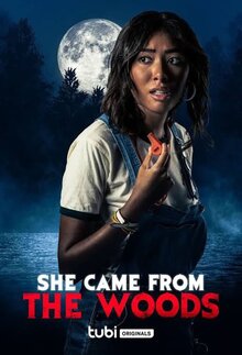 Poster of She Came from the Woods