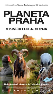 Poster of Wild Prague