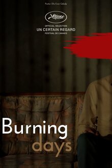Poster of Burning Days