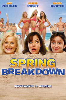 Poster of Spring Breakdown