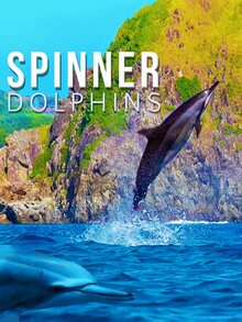 Poster of Spinner Dolphins