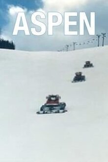 Poster of Aspen