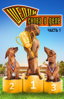 Poster of Wiener Dog Nationals