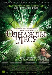 Poster of Once Upon a Forest