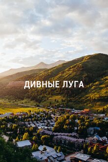 Poster of Дивные луга