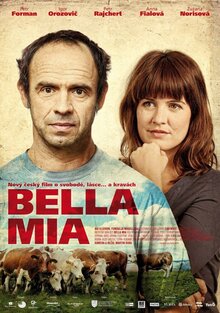 Poster of Bella mia