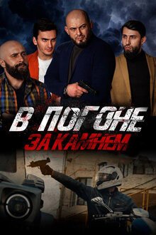 Poster of V pogone za kamnem