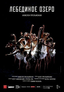 Poster of Swan Lake