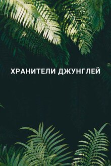 Poster of Хранители джунглей