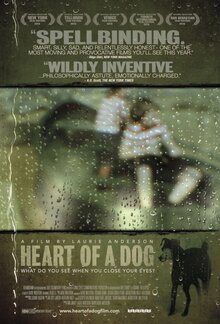 Poster of Heart of a Dog
