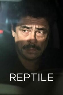 Poster of Reptile