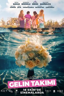 Poster of Gelin Takimi