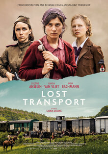 Poster of Lost Transport