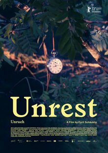 Poster of Unrueh