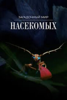 Poster of Mysterious Insects, on the Trail of Origin