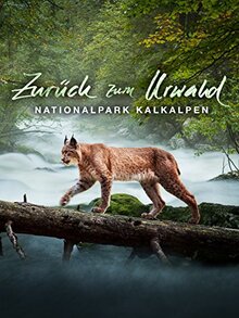 Poster of Making an Ancient Forest — Kalkalpen National Park