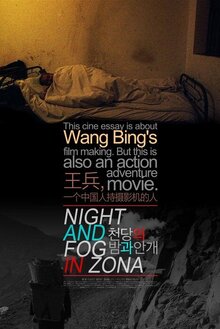 Poster of Night and Fog in Zona