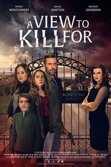 Poster of A View to Kill For