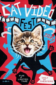 Poster of CatVideoFest 2024