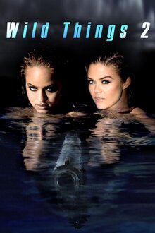 Poster of Wild Things 2