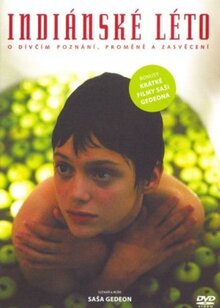 Poster of Indian Summer