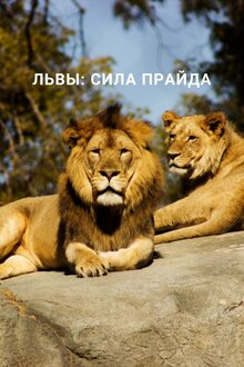 Постер фильма Львы: Сила прайда