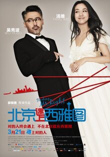 Poster of Finding Mr. Right