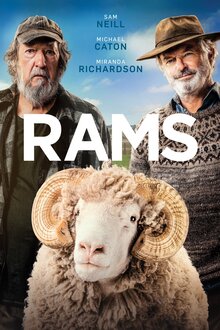 Rams