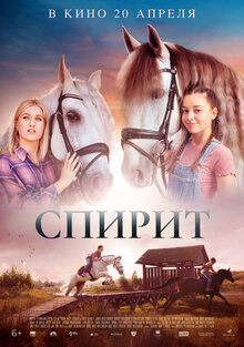Poster of Silverstar