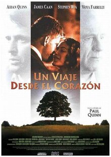Poster of This Is My Father