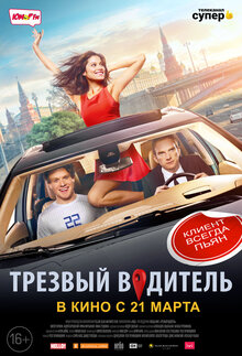 Poster of Sober Driver