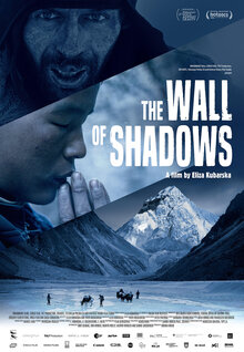 Poster of The Wall of Shadows