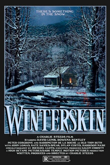 Poster of Winterskin