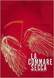 Poster of La commare secca