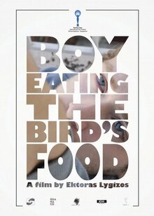 Poster of Boy Eating the Bird's Food