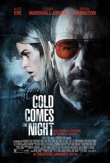 Poster of Cold Comes the Night