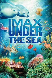 Under The Sea 3D