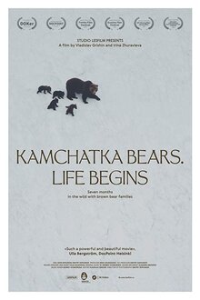 Постер фильма Медведи Камчатки. Начало жизни