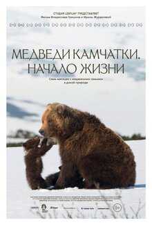 Постер фильма Медведи Камчатки. Начало жизни
