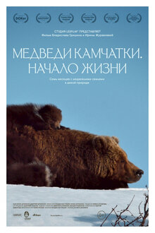 Постер фильма Медведи Камчатки. Начало жизни